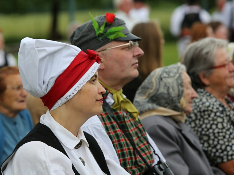 Festival 2015