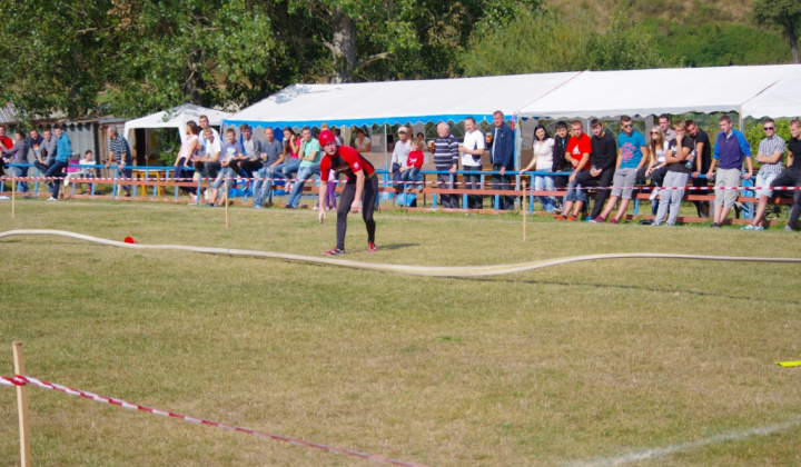 2015 Slovenský pohár českej superligy