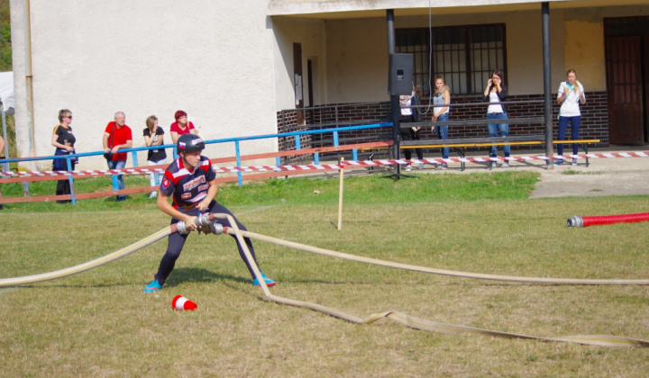 2015 Slovenský pohár českej superligy
