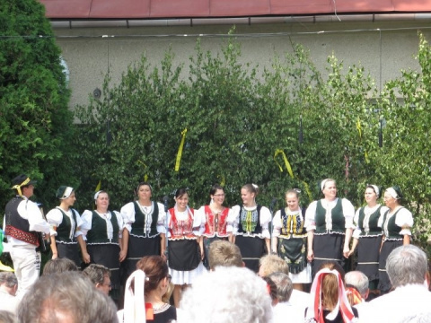 DFsk ROKYTOVČAN